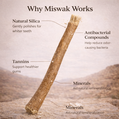 Miswak - Nature's Original Toothbrush (Thick Version)