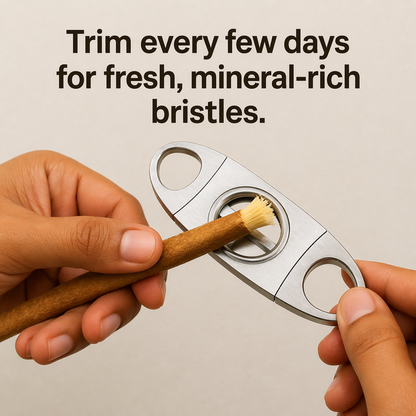 Miswak - Nature's Original Toothbrush (Thick Version)