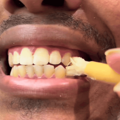 Miswak - Nature's Original Toothbrush (Thick Version)